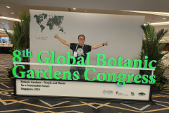 8GBG-Congress-2024