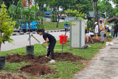 treescape-power-2.0-trees-plantation-day