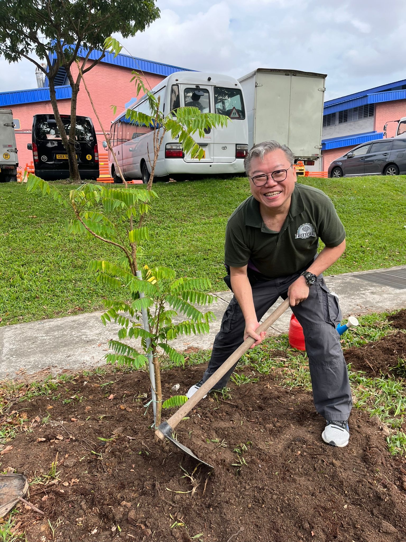 treescape trees plantation