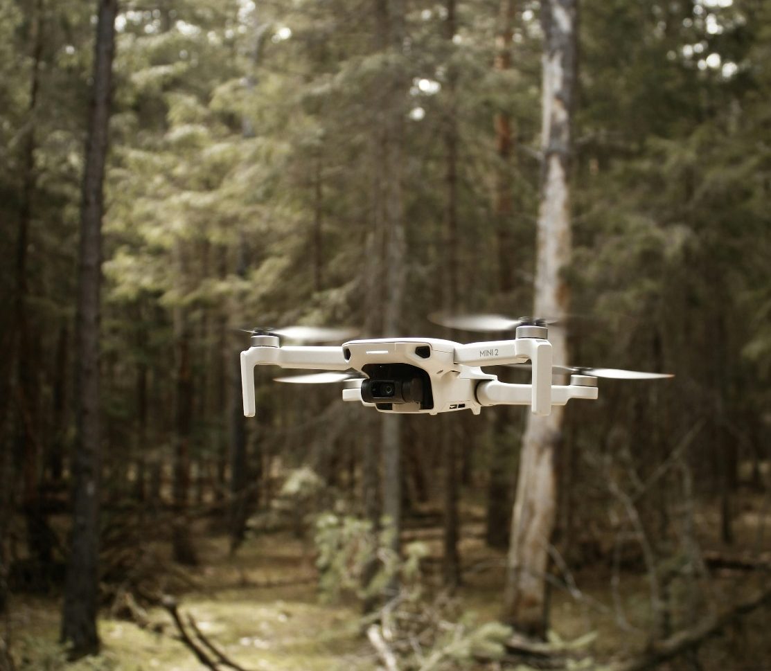 drone business treescape